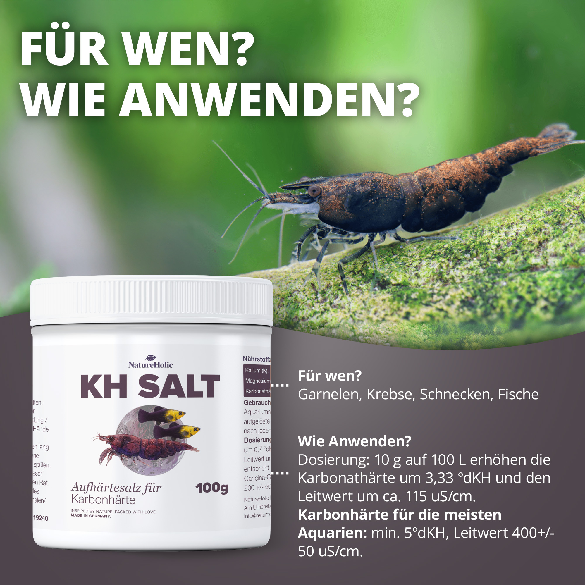 KH Salt 100g-Dose neben Garnele auf Moos